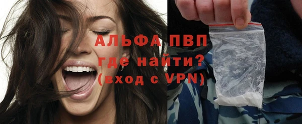 гашик Апатиты