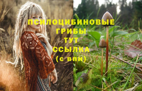 круглые Михайловск