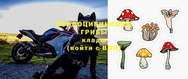 ешки Анжеро-Судженск