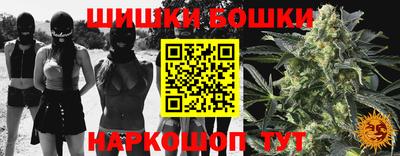 крисы Абакан