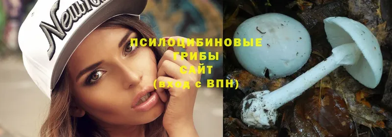 Псилоцибиновые грибы Magic Shrooms  omg ссылка  Чусовой 