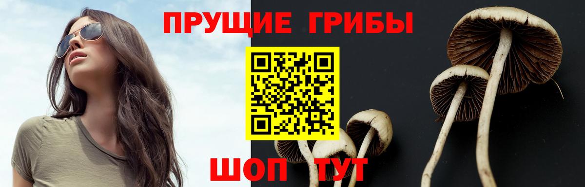 Чусовой  Псилоцибиновые грибы Psilocybe  Галлюциногенные грибы Psilocybine cubensis  Вход с VPN 